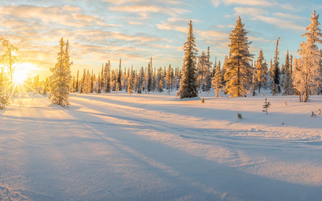 Vacances de Noël en Laponie