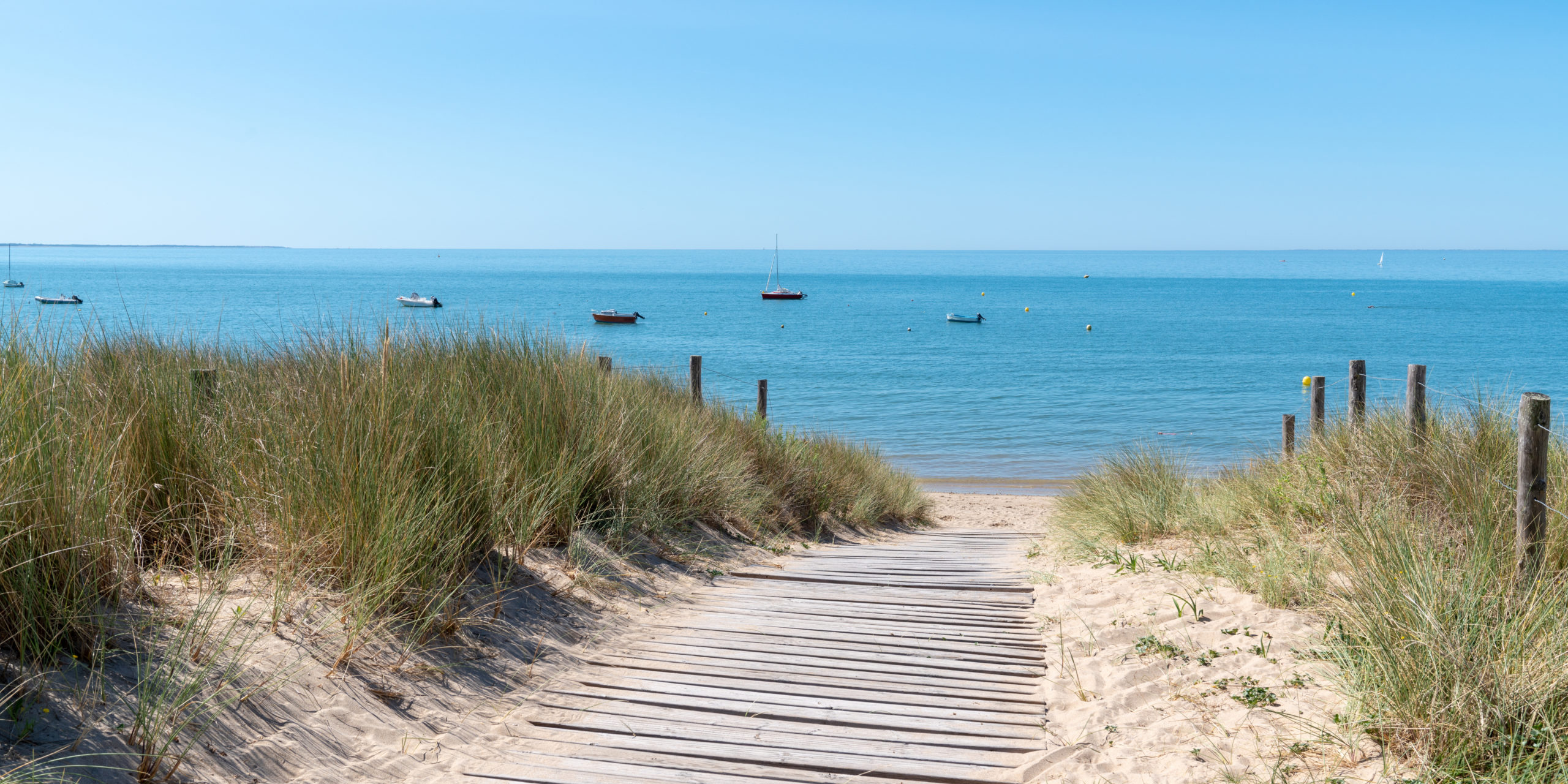 coastal area with sand beach grass entrance to Atlantic ocean in