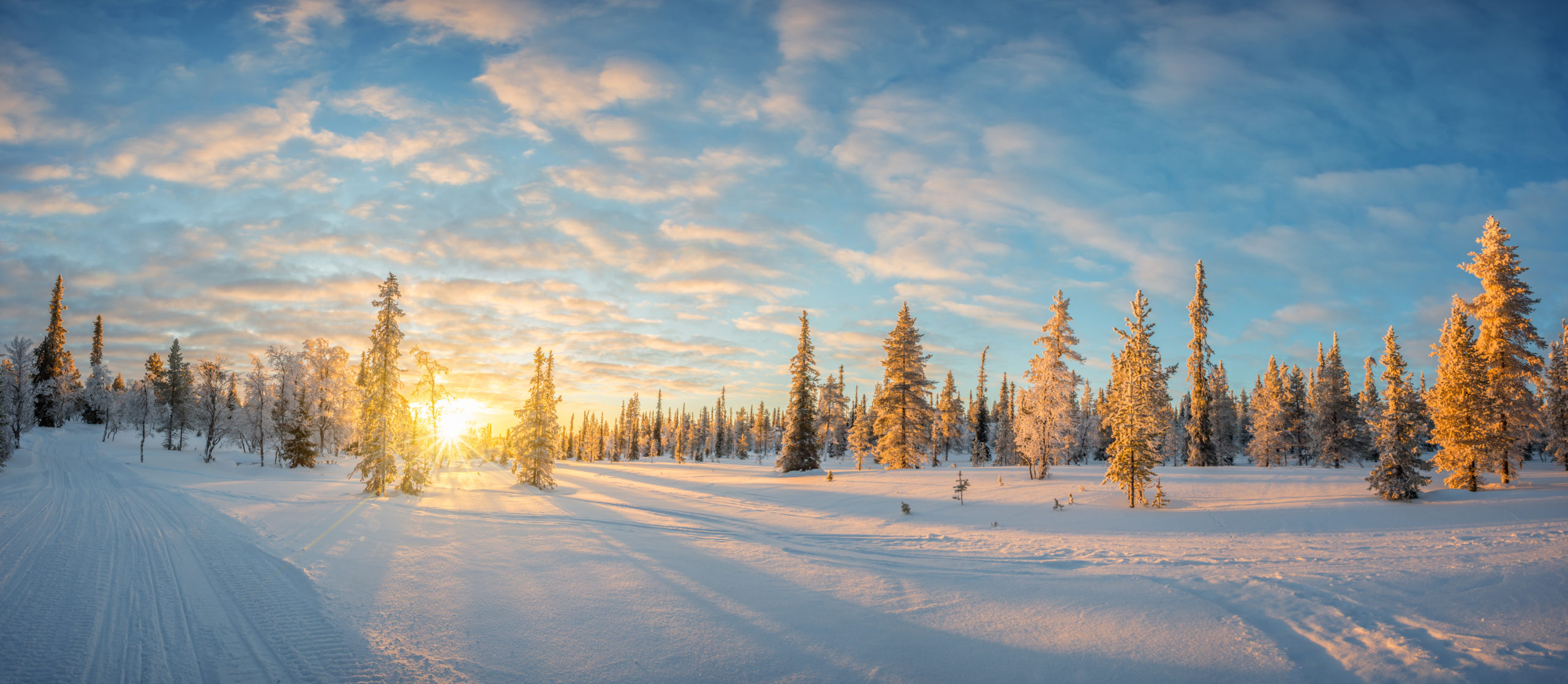 Snowy landscape at sunset, frozen trees in winter in Saariselka, Lapland, Finland