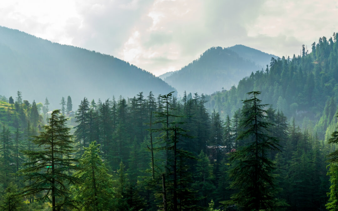 Pendjab / Himachal Pradesh