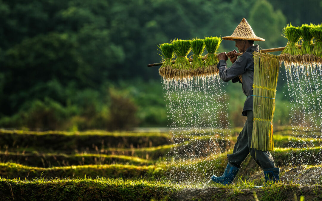 Laos Cambodge
