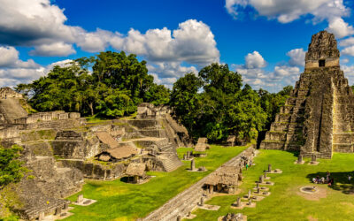 Tikal National Park Au Guatemala