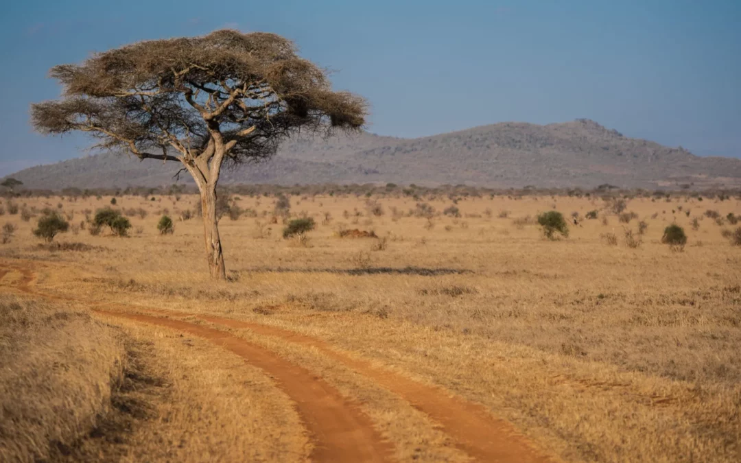 Kenya – Mombassa / Taita