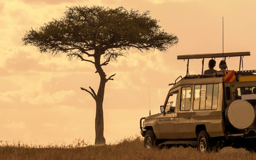 Safari Terre Rouge et Mer Turquoise