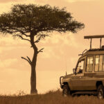 Vue d'un véhicule de safari au Kenya